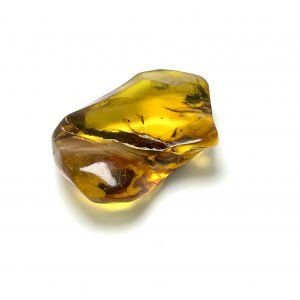 Natūralus gintaro akmuo su vabzdžiais, Natural amber stone with insects