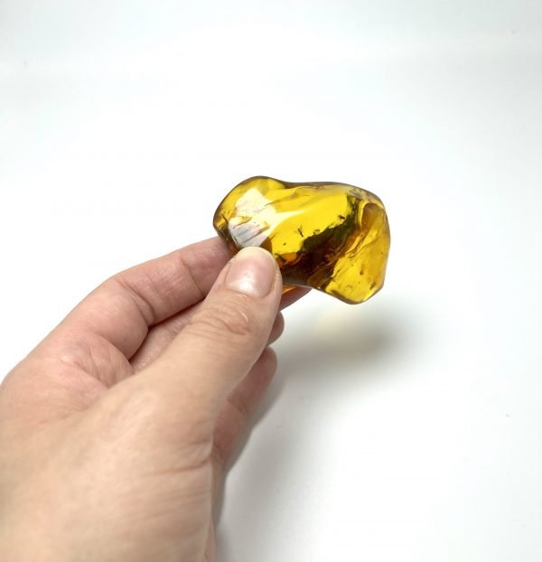 Natūralus gintaro akmuo su vabzdžiais, Natural amber stone with insects