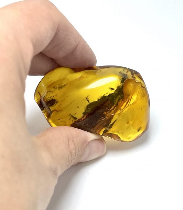 Natūralus gintaro akmuo su vabzdžiais, Natural amber stone with insects