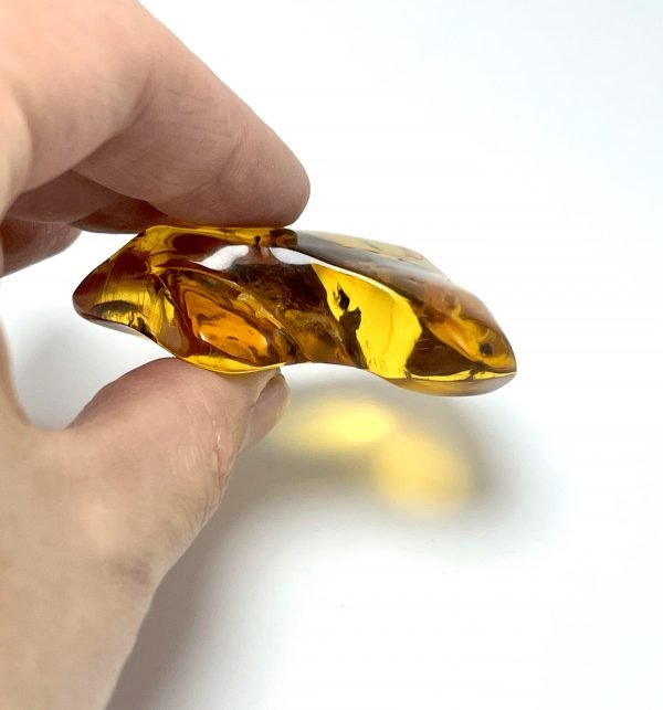 Natūralus gintaro akmuo su vabzdžiais, Natural amber stone with insects