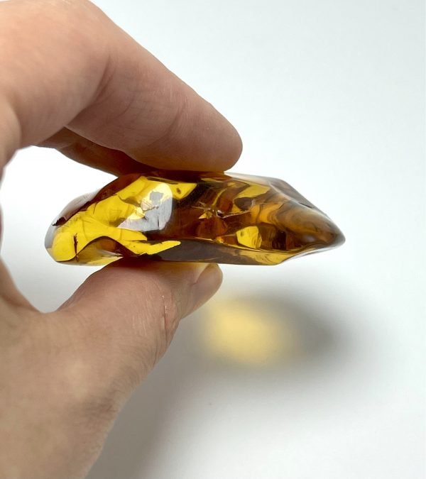 Natūralus gintaro akmuo su vabzdžiais, Natural amber stone with insects