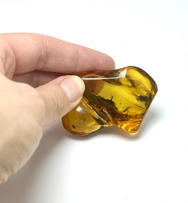 Natūralus gintaro akmuo su vabzdžiais, Natural amber stone with insects