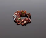 Spalvinga gintaro apyrankė su kriauklėmis, Colorful amber bracelet with shells